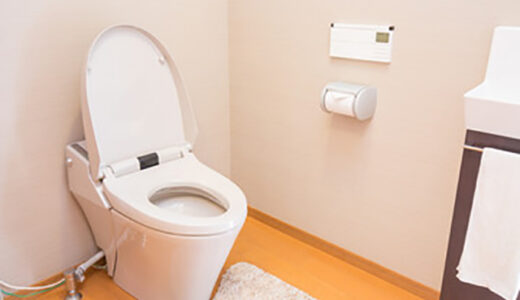 尿石が原因？トイレつまりが起きる原因と対処法