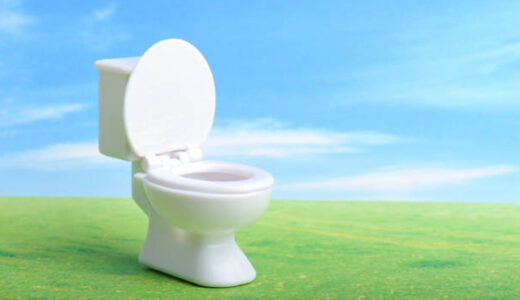 横浜市の西区でトイレ修理を安心・技術・価格で選ぶならたうん水道修理センター！