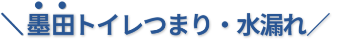 24時間受付け！墨田区のトイレつまり・水漏れ修理実績No,1！