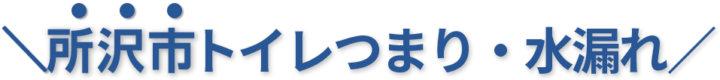 24時間受付け!所沢市のトイレつまり・水漏れ修理実績No,1!