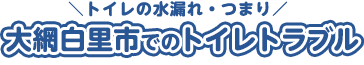 大網白里でのトイレトラブル