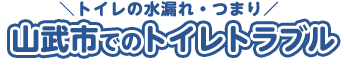 山武でのトイレトラブル