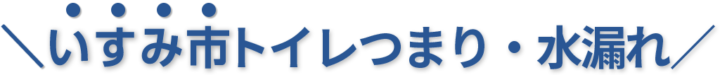 24時間受付け！いすみ市のトイレつまり・水漏れ修理実績No,1！