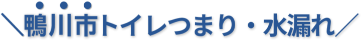 24時間受付け！鴨川市のトイレつまり・水漏れ修理実績No,1！