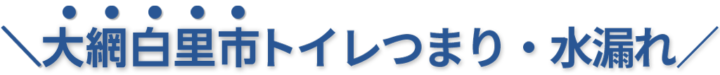 24時間受付け！大網白里市のトイレつまり・水漏れ修理実績No,1！