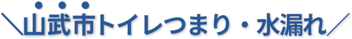 24時間受付け!山武市のトイレつまり・水漏れ修理実績No,1!