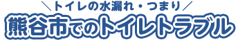 熊谷でのトイレトラブル